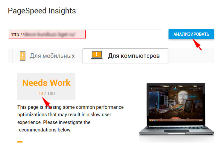 Оценка скорости загрузки страницы  PageSpeed Insights